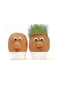 Çim Adam Deney Seti